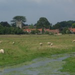 church sheep and brook.JPG
