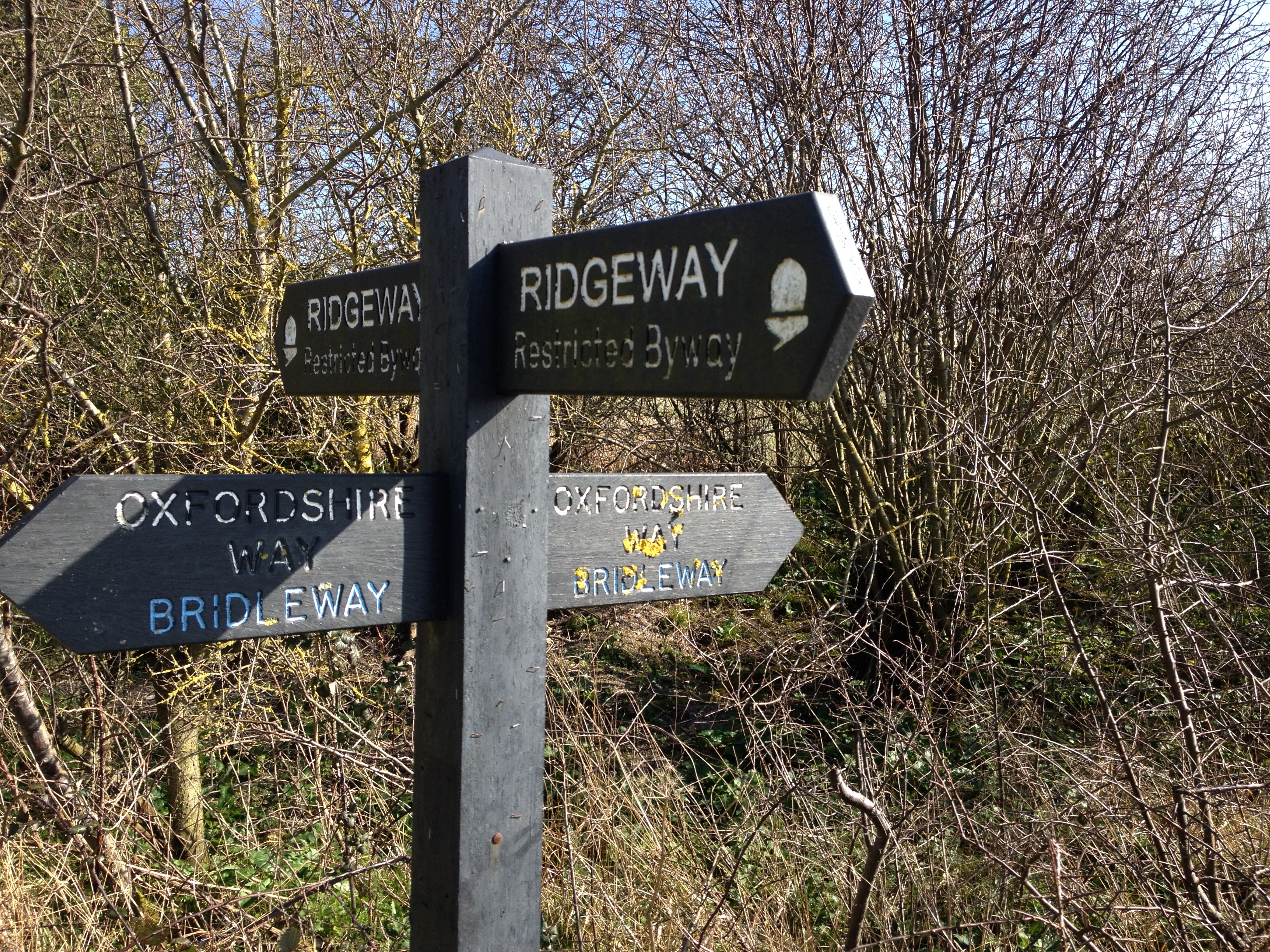 Ridgeway junction_0537