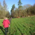 The Go Active Christmas walk