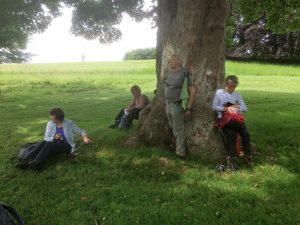 Propping up the tree