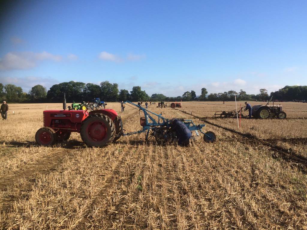 ploughmen